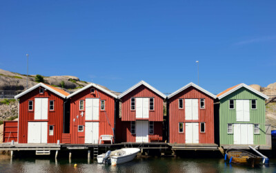 Combating Coastal Climate Challenges: Cement Particle Boards in Marine Environments
