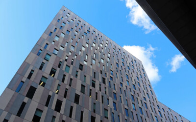 Cost-Effective Building Solutions: How Cement Particle Board Can Save You Money