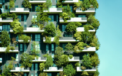 Biophilic Design Elements: Using Fiber Cement Boards to Enhance Natural Aesthetics